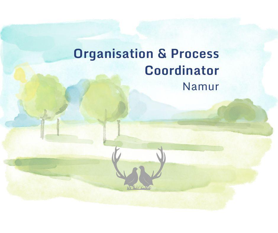 Organisation & Process Coordinator for a non-profit association (Ref. P-001)